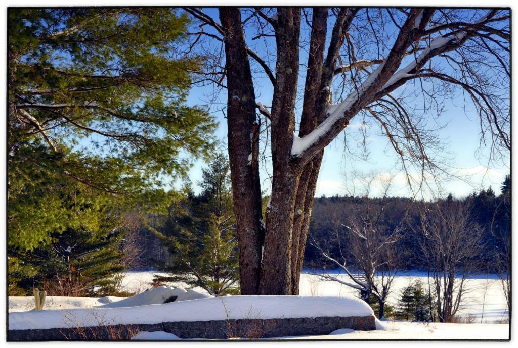 Pleasant Mountain Inn Bridgton Exterior foto